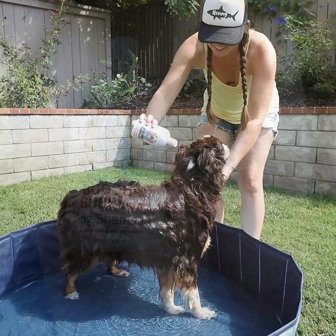 Bubbles Organic Natural Shampoo 16oz Bottle for Dogs | Gentle, Aids in Itch Relief and Fights Dandruff - Smells Great