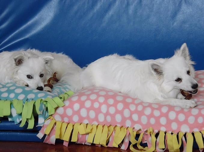 Pawstruck All-Natural 6" Bully Stick Springs for Dogs - Fun Challenging Rawhide Free 100% Beef Single Ingredient Chew Treat Bones - Fully Digestible Low Odor - 3 Pack - Packaging May Vary