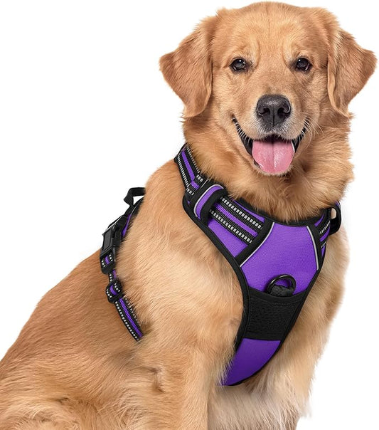 rabbitgoo Dog Harness, No-Pull Pet Harness with 2 Leash Clips, Adjustable Soft Padded Dog Vest, Reflective No-Choke Pet Oxford Vest with Easy Control Handle for Large Dogs, Purple, XL