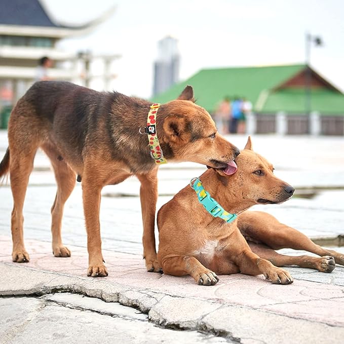 azuza 3 Pack Fruit Design Dog Collars Comfortable and Adjustable Nylon Dog Collars for Medium Dogs, M (14-20inch)，Strawberry，Lemon and Cherry