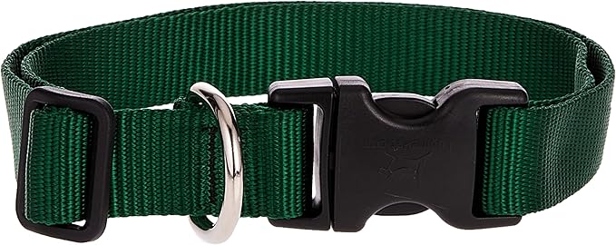 LupinePet Basics 1" Green 16-28" Adjustable Collar for Large Dogs
