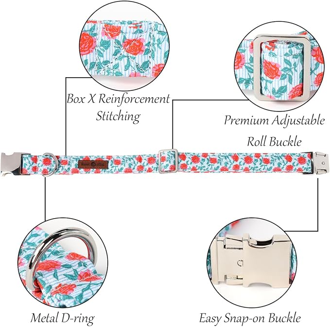 Lionet Paws Dog Collar, Comfortable Adjustable Cute Collar with Metal Buckle for Male Female Dogs Gift, Rose, Small, Neck 10-16 inches