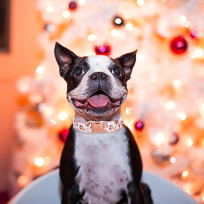 Christmas Dog Collar for Medium Dog,White Pink Claus Elk Santa Male Dog Collar with Safety Metal Buckle Adjustable Puppy Collars for Small Large Boy Dog,M,Neck 13.5"-22"