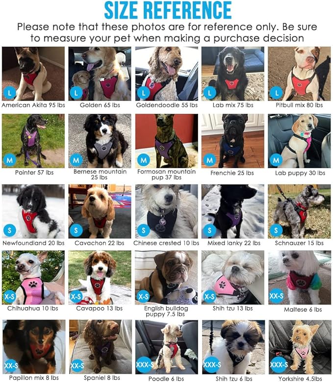 SlowTon Dog Seat Belt Harness for Car, Dog Car Harness Adjustable Mesh Breathable & Dog Seatbelt Safety Tether with Elastic Bungee for Small Medium Large Pets(Red, Single Clip, XXS)