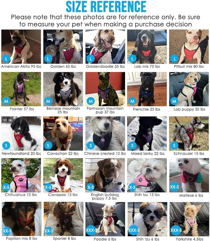 SlowTon Dog Seat Belt Harness for Car, Dog Car Harness Adjustable Mesh Breathable & Dog Seatbelt Safety Tether with Elastic Bungee for Small Medium Large Pets(Red, Single Clip, M)