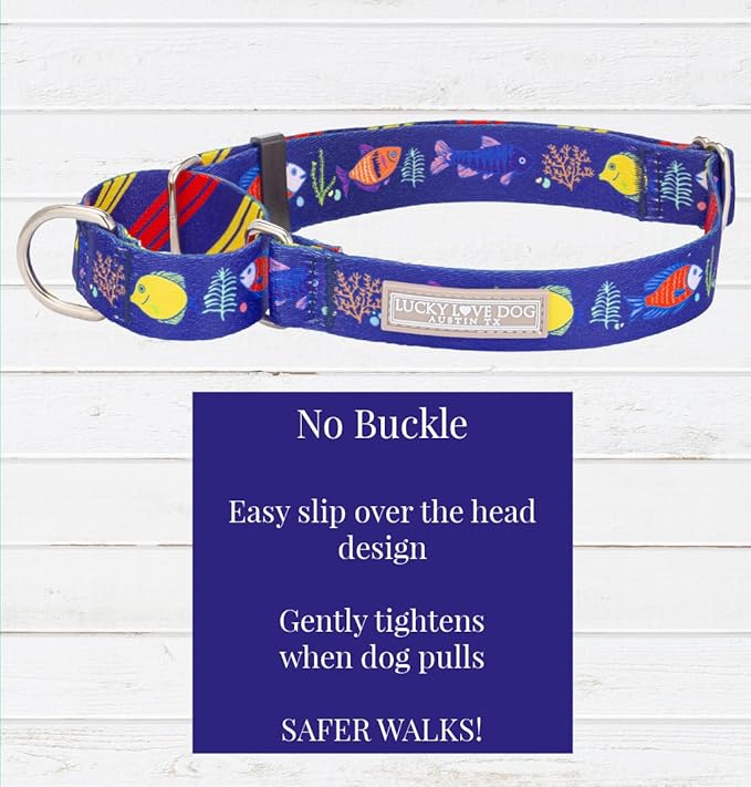 Lucky Love Dog Martingale Collar, Blue Color No Slip Collars for Small Dogs, Tropical Fish Pattern Martingale Dog Collar, Great for Whippets, Greyhounds, and More (Mackey, Small)