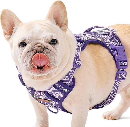 Dog Vest Harness No Pull Easy Walker Pet Harness for Walking Training Hiking for M Sized Dogs with 2 Leash Clips 3 Buckles ID Card Reflective Strip Soft Padded Handle, Tribal, French Bulldog