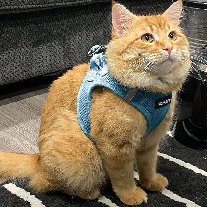 Voyager Step-in Air Dog Harness - All Weather Mesh, Reflective, No Pull Harness for Small, Medium Dogs, Cats - Secure with Hook & Loop Fastener, Buckle, Double D-Rings - Baby Blue, XS