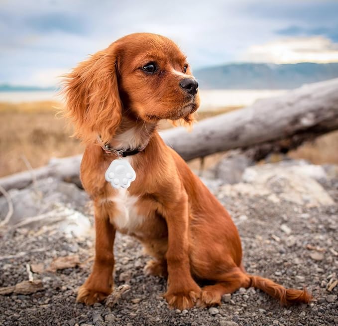 Dog Collar GPS Tracker, Paw Print Design, Multi-Color (White)