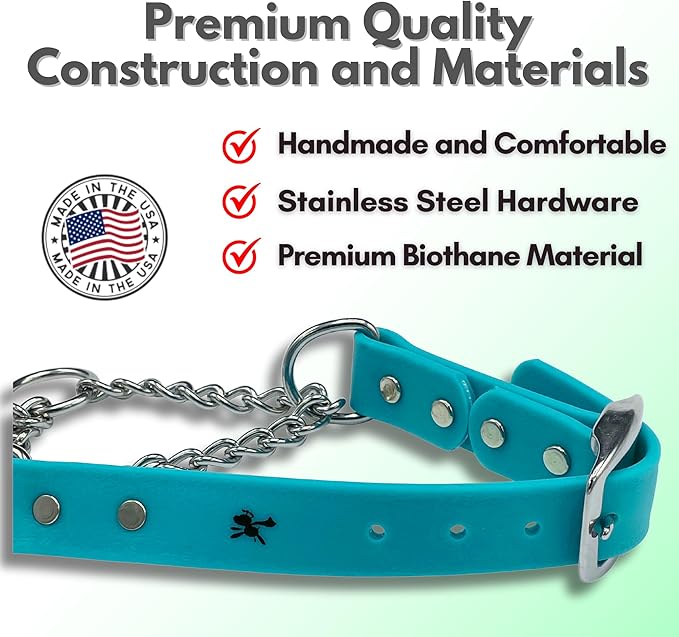 Martingale Collar for Dogs, Biothane, Stainless Steel Hardware, No Pull, Made in The USA, Professional Grade, Small, Teal