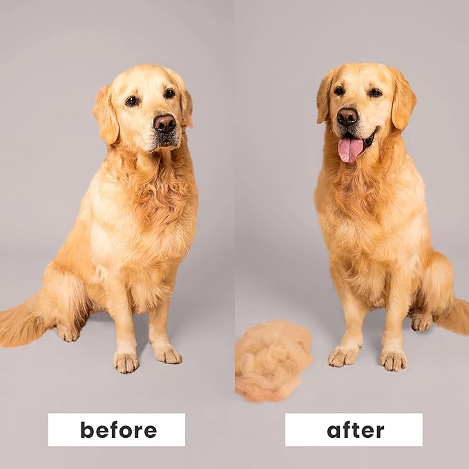 Pet Teezer by Tangle Teezer De-Shedding Dog Grooming Brush, Dry Brush or Dog Bath Brush for Wet or Dry Fur, Large, Blue & Pink