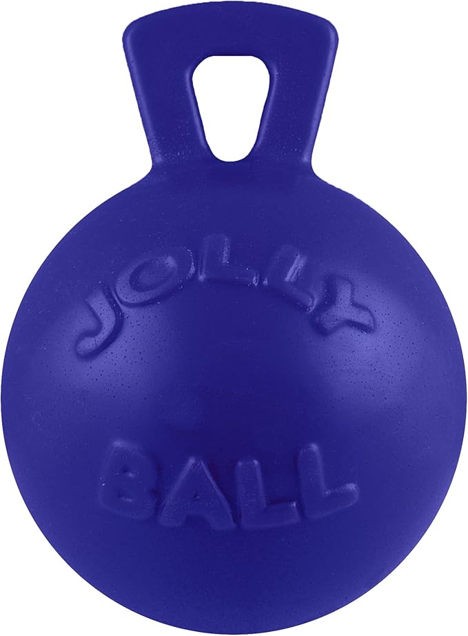 Jolly Pets Tug-n-Toss Heavy Duty Dog Toy Ball with Handle, 6 Inches/Medium, Blue