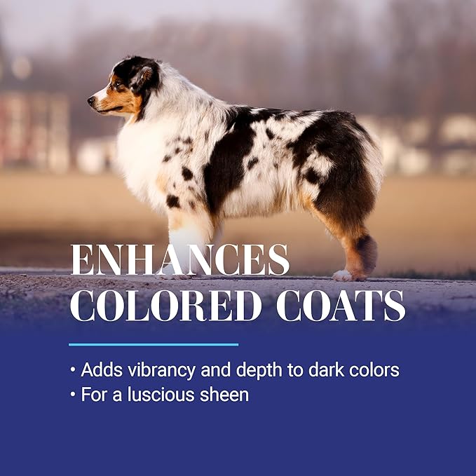 Chris Christensen White on White Whitening Treatment Dog Shampoo (16OZ)