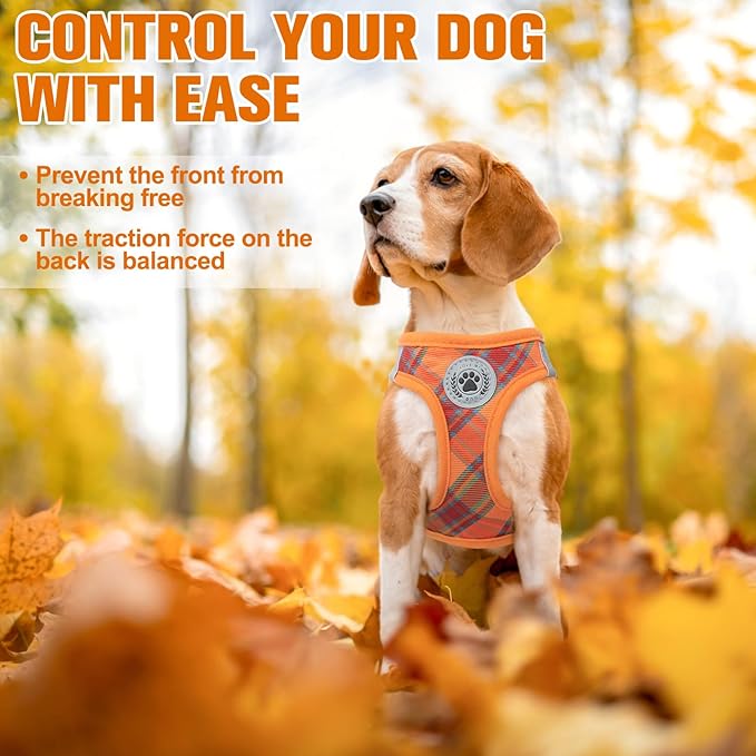 BEAUTYZOO Step in Dog Harness and Leash Set, Reflective Dog Harness No Pull No Choke Puppy Harness for Extra Small Dogs Cats, Soft Padded Mesh Vest Harnesses for Girl and Boy Pets, Orange Plaid S