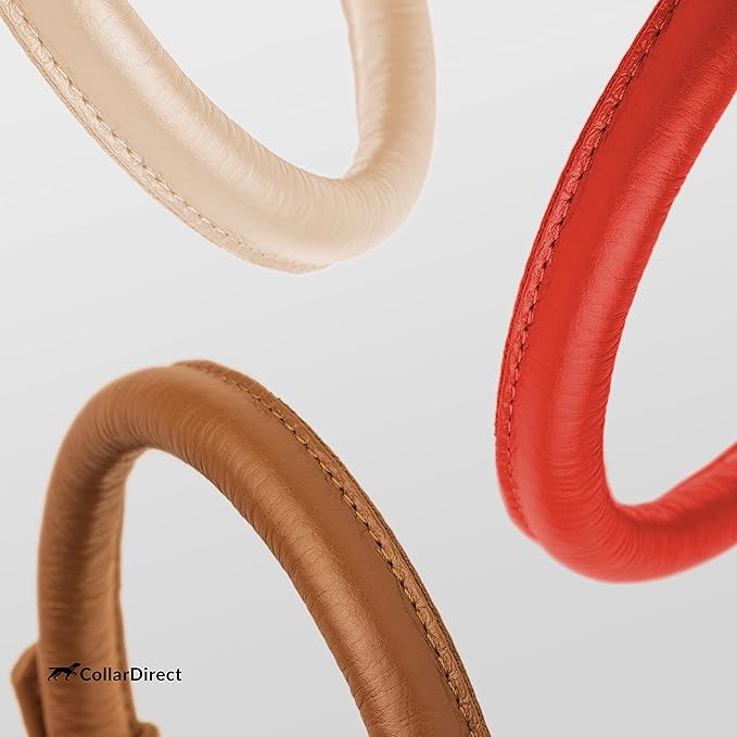 CollarDirect Rolled Leather Dog Collar, Soft Padded Round Puppy Collar, Handmade Genuine Leather Collar Dog Small Large Cat Collars 13 Colors (12-15 Inch, Red Textured)