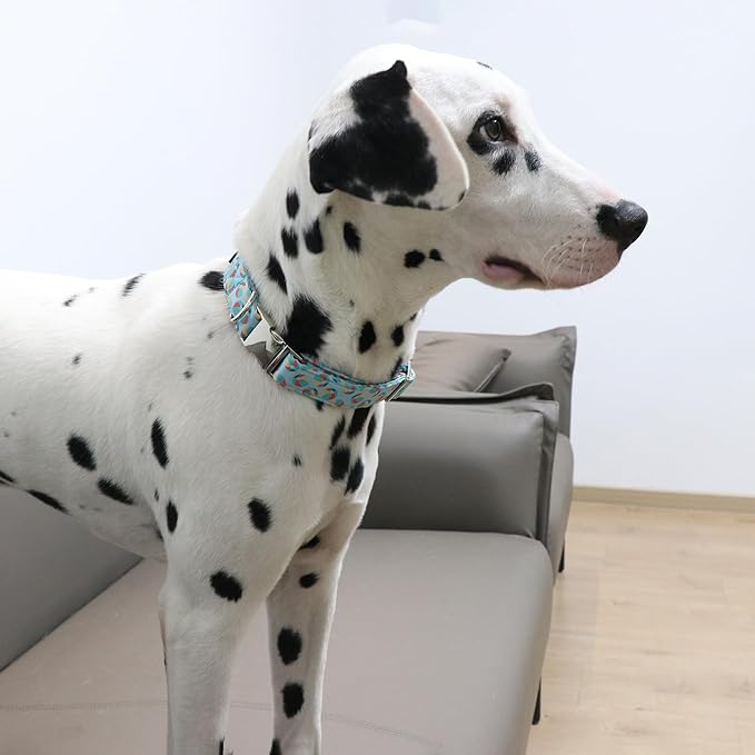 Lionet Paws Boy Dog Collar, Comfortable Adjustable Cute Sea Lion's Ball Collar with Metal Buckle for Male Puppies and Cats Gift,XS, Neck 8-12 inches