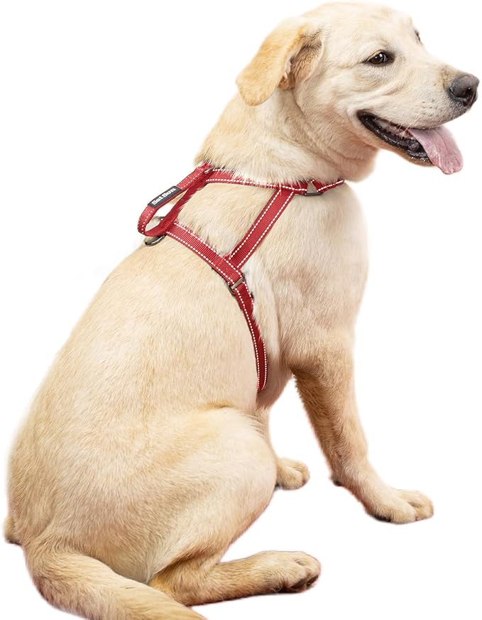 SATSUN Dog Harness for Large Dogs, No Pull Dog Harness with 2 Adjustable Points & 1 Leash Clip, Reflective Comfortable Dog Vest with Easy Control Handle Ideal for Walking and Training, Red,XL