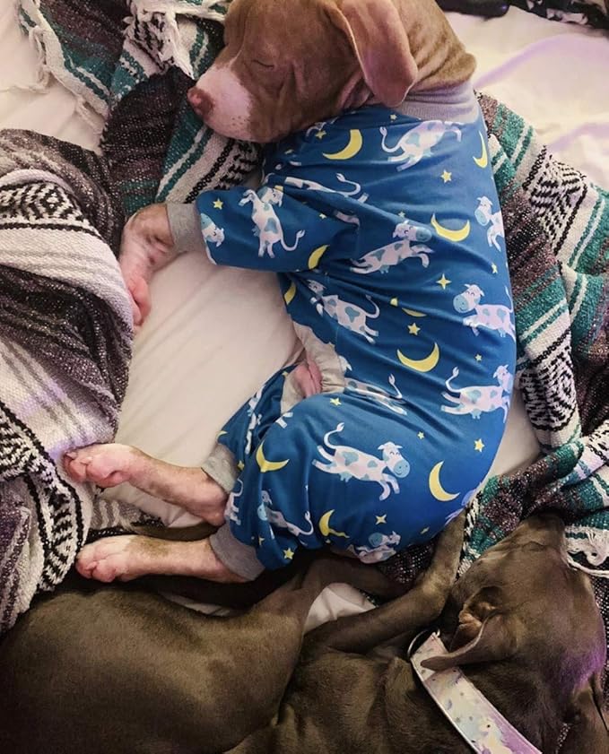 Tooth and Honey Pit Bull Pajamas/Cow Moon Star Print Dog Jumpsuit Onesie Full Coverage Lightweight Pullover Large Dog pjs