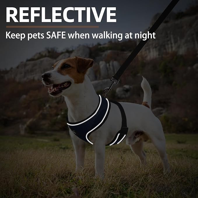 PUPTECK Soft Mesh Dog Harness and Leash Set Pet Puppy Cat Comfort Padded Vest No Pull Harnesses, Solid NavyBlue, S