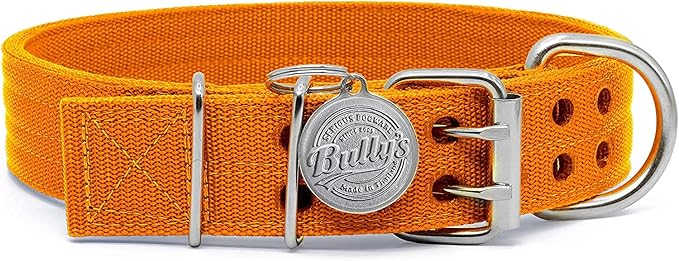 Pit Bull Collar, Dog Collar for Large Dogs, Heavy Duty Nylon, Stainless Steel Hardware (Large-1.5 Inches Wide, Orange Juice)
