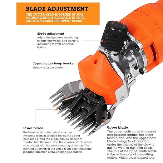 Clipper Blades Grooming Blades, Sheep Shears Replacement Blades, Professional Stainless Steel Clipper Blades for Grooming Goats, Lambs, Llamas, Alpacas (13 Teeth Straight Blade (+ oscillating Blade))