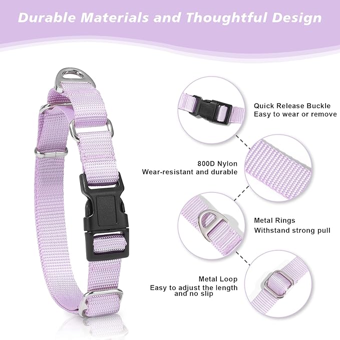 Rttochfy Martingale Dog Collars, Adjustable Nylon Dog Collar with Quick Release Buckle, No Choke Dog Training Collar for Small Medium Large Dogs (Blue, L)