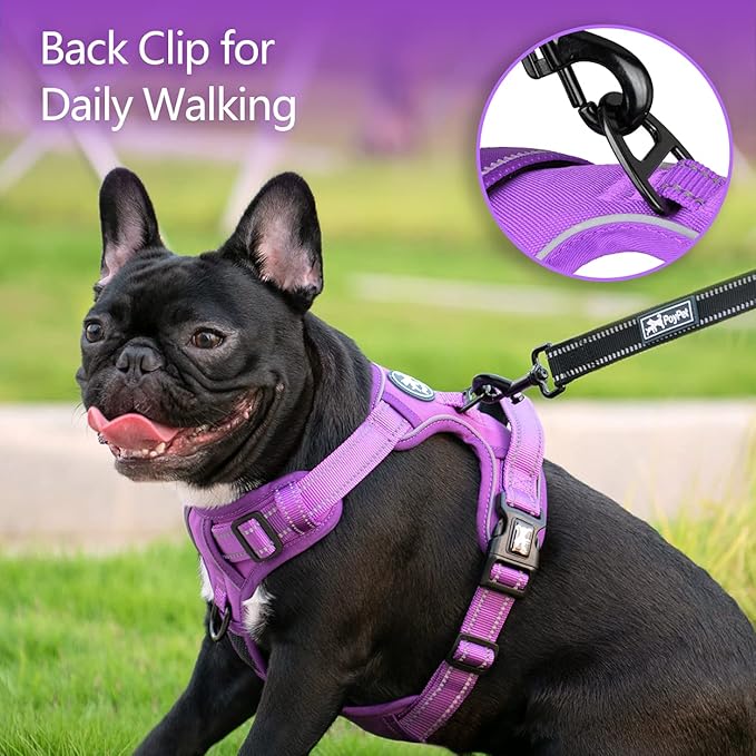 PoyPet No Pull Dog Harness, No Choke Reflective Dog Vest, Adjustable Pet Harnesses with Easy Control Padded Handle for Small Medium Large Dogs(Purple Matching Trim,L)
