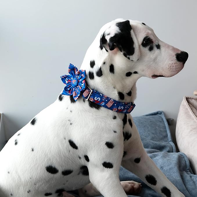 Lionet Paws Patriotic Female Dog Collar with Flower, 4th of July, Soft and Comfortable Adjustable American Flag Collar for Large Dogs, Neck 16-24 inches