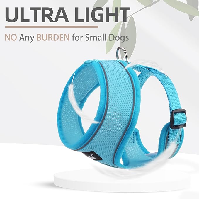 PUPTECK Soft Mesh Dog Harness and Leash Set Pet Puppy Cat Comfort Padded Vest No Pull Harnesses, Solid LightBlue, S