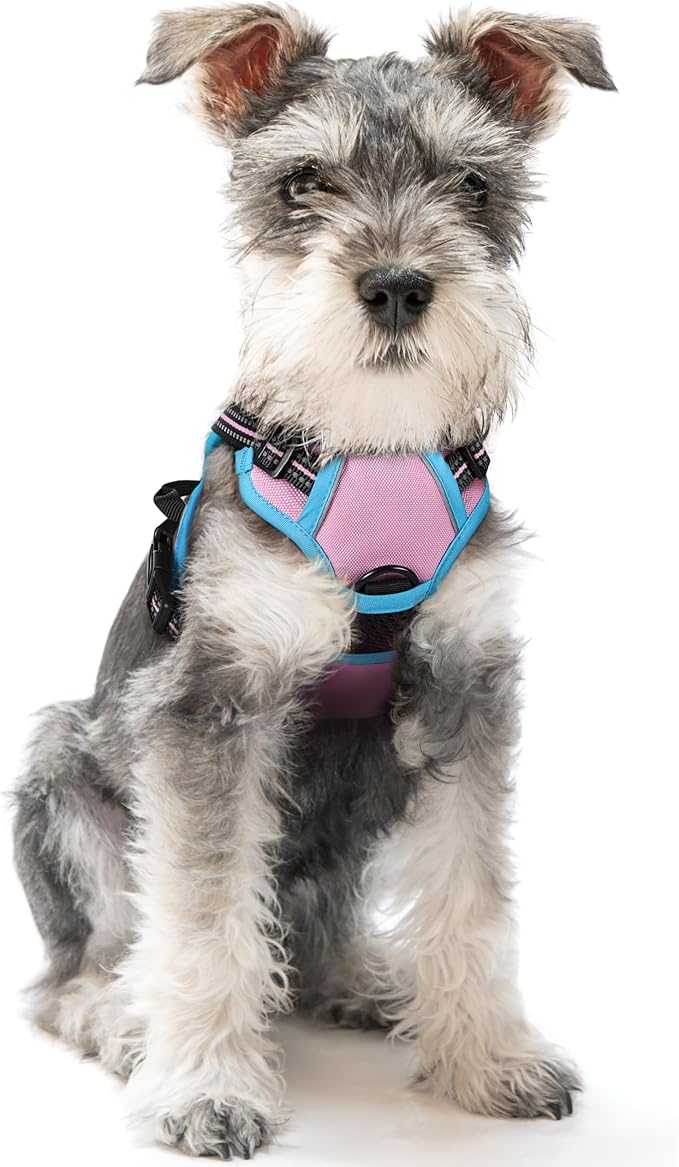 rabbitgoo Dog Harness, No-Pull Pet Harness with 2 Leash Clips, Adjustable Soft Padded Dog Vest, Reflective No-Choke Pet Oxford Vest with Easy Control Handle for Large Dogs, Pink & Blue, X-Small