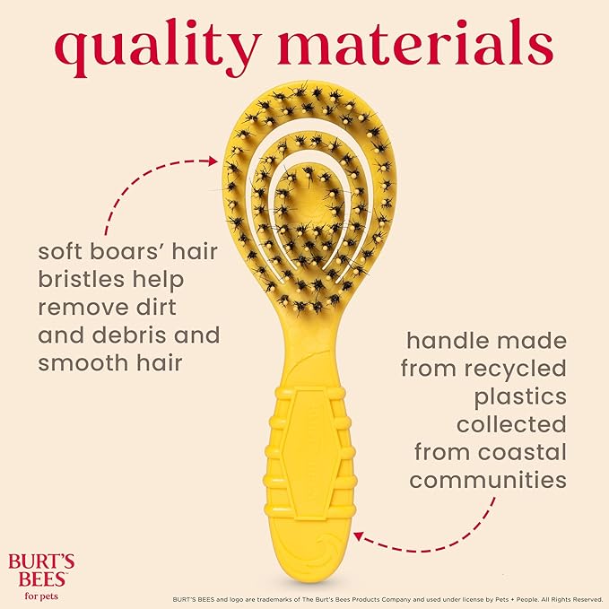 Burt’s Bees for Pets Porcupine Bristle Brush for Puppies and Small Dogs with Handle Made from Recycled Plastics Collected from Coastal Communities | Flex-head Grooming Brush for Dogs