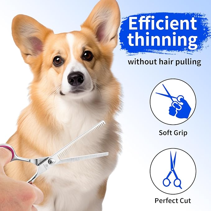 Dog Grooming Scissors, 6-in-1 Professional Dog Grooming Kit, 4CR Stainless Steel Dog Scissors for Grooming, Heavy Duty Dog Shears for Grooming, Dog Grooming Supplies Pet Grooming Kit for Dogs at Home