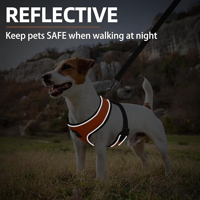 PUPTECK Soft Mesh Dog Harness and Leash Set Pet Puppy Cat Comfort Padded Vest No Pull Harnesses, Solid Orange, S