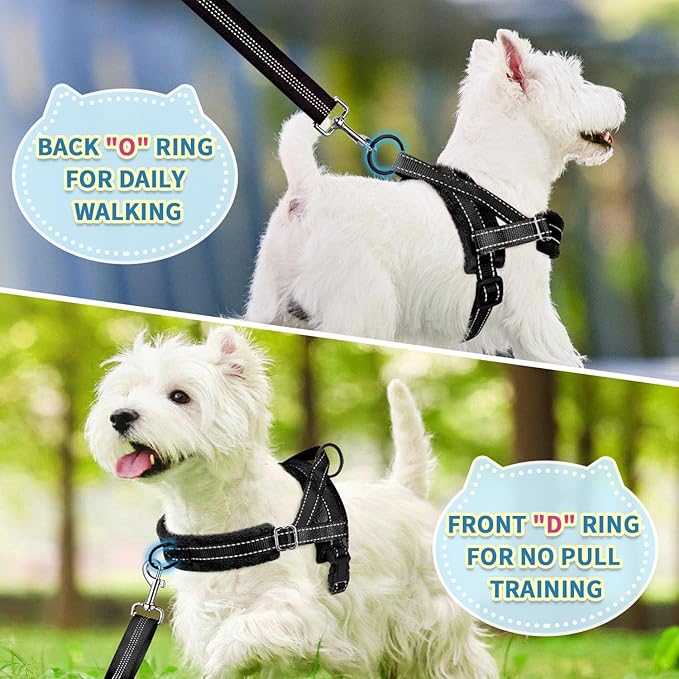 SlowTon No Pull Small Dog Harness and Leash Set, Puppy Soft Vest Harness Neck & Chest Adjustable, Reflective Lightweight Harness & Anti-Twist Pet Lead Combo for Small Medium Dogs (B-Front Clip,XXS)
