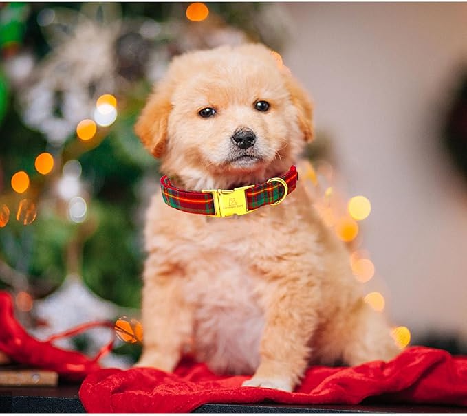 Lionheart glory Christmas Plaid Dog Collar, Dogs Collar Adjustable Soft and Comfortable Collars for Large Dogs Girl or Boy Pet Gift Fall Collar Dog