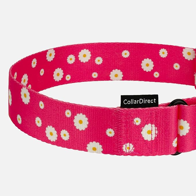 CollarDirect Martingale Collars for Dogs Heavy Duty Floral Pattern Female Safety Nylon Training Wide Collar Flower Design Large Medium (XL, Neck Size 19"-24", Pink)