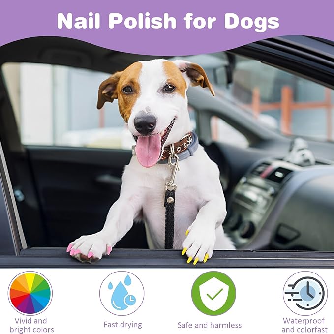 Dog Nail Polish Pens, 12 Colors Nail Polish Set Pet Pens Quick Dry, Dog Claw Care Nail Polish, Waterproof Acrylic Paint Pens for DIY Pet Nails, Odorless, Easy to Apply