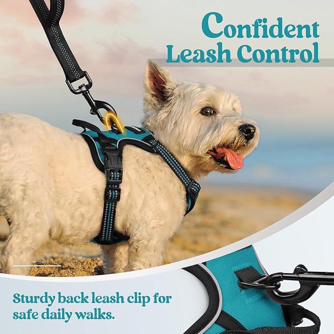 rabbitgoo Dog Harness, No-Pull Pet Harness with 2 Leash Clips, Adjustable Soft Padded Dog Vest, Reflective No-Choke Pet Oxford Vest with Easy Control Handle for Large Dogs, Teal, X-Small