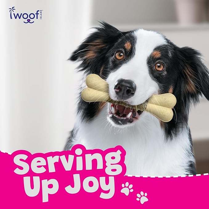 Coconut Mango Dog Bones - Long Lasting Natural Dog Treats - Dog Bones Rawhide Free Dog Chews - Long Lasting No Hide Dog Chews for Small Medium Large Dogs - Raw Hide Free Dog Chew (1 Pack)