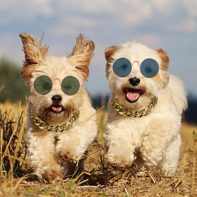 Weewooday 6 Pieces Dog Cat Costume, Pet Sunglasses and Summer Straw Hat with Faux Gold Chain Collar, Classic Funny Pet Accessories for Cat Puppy Small Medium Dog(Cool Style,Stylish Colors)