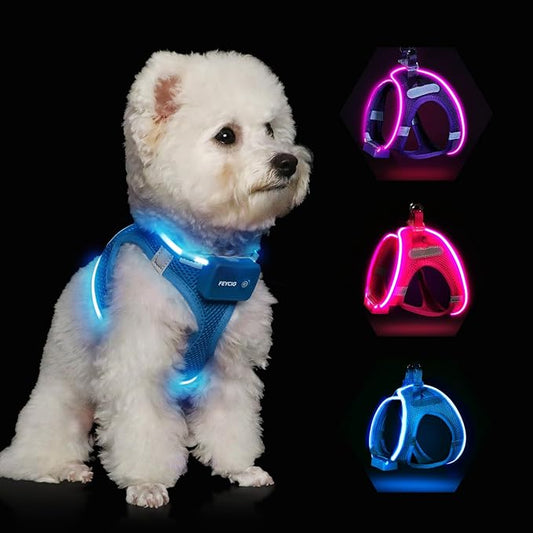 Light Up Dog Harness,LED Dog Harness Rechargeable, Lighted Dog Vest Harness for Night Walking,Reflective Safety Vest for Small Medium Large Dogs,Adjustable Soft Mesh,Blue,S