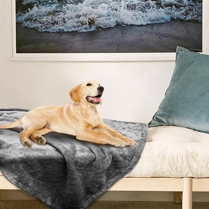 Onarway Dog Blanket Washable for Bed: Dog Blankets 78”x59” - Fluffy Soft Large Throw for Cat Puppy Kitten Dogs - Fleece Pet Blankets for Crate Couch Car and Indoor - Grey