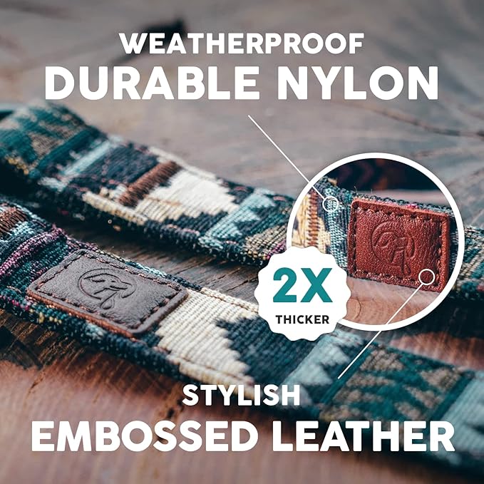 Embark Urban Dog Collar – Dog Collar Stylish & Durable Nylon Dog Collar for Large Dogs, Small Dogs & Medium Dogs.Comfortable Pet Collar Strong Buckles for Any Size Breed (Azure, Medium)