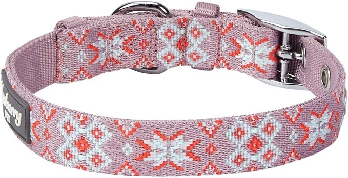 Blueberry Pet 3 Patterns Southwestern Modern Tribal Print Thistle Braided Adjustable Dog Collar with Metal Buckle, Neck 17-20.5", for Large Breed