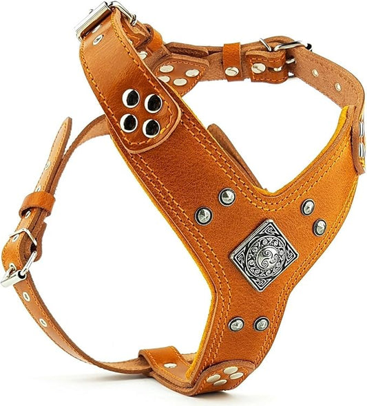 Bestia "EROS Genuine Leather Dog Harness, Large Breeds, Cane Corso, Rottweiler, Boxer, Presa, Bullmastiff, Dogo, 100% Leather, Studded, M- XXL Size, Soft Padded. Made in Europe!