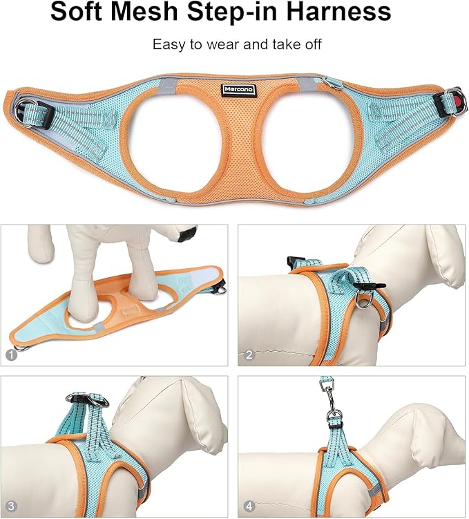 Mercano Soft Mesh Dog Harness and Leash Set, No-Chock Step-in Reflective Breathable Lightweight Easy Walk Escape Proof Vest Harnesses with Safety Buckle for Small Medium Dogs, Cats (XS, Orange Blue)