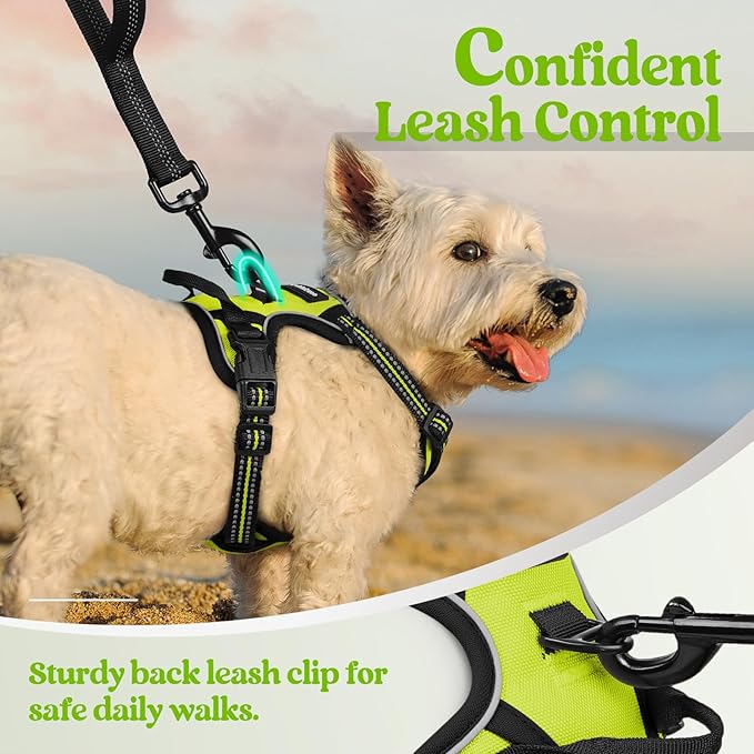 rabbitgoo Dog Harness, No-Pull Pet Harness with 2 Leash Clips, Adjustable Soft Padded Dog Vest, Reflective No-Choke Pet Oxford Vest with Easy Control Handle for Small Dogs, Wild Lime, XS