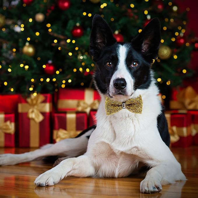 Crystal Pet Bowties, 10 PCS Adjustable Dog Collar Attachment Rhinestone Bling Bowties, Pet Collar Charms Accessories, Birthday Gift for Big Cat Puppy Small Medium Dogs(Small)