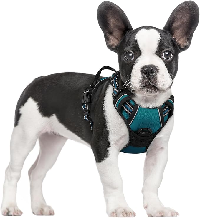 rabbitgoo Dog Harness, No-Pull Pet Harness with 2 Leash Clips, Adjustable Soft Padded Dog Vest, Reflective No-Choke Pet Oxford Vest with Easy Control Handle for Small Dogs, Blue Coral, S