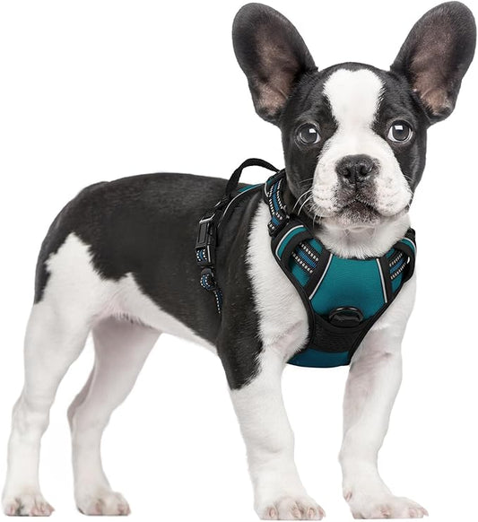 rabbitgoo Dog Harness, No-Pull Pet Harness with 2 Leash Clips, Adjustable Soft Padded Dog Vest, Reflective No-Choke Pet Oxford Vest with Easy Control Handle for Small Dogs, Blue Coral, S